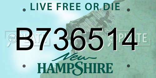 B736514 New Hampshire License Plate