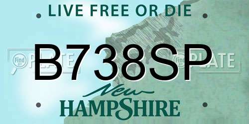 B738SP New Hampshire License Plate