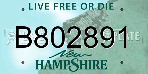 B802891 New Hampshire License Plate