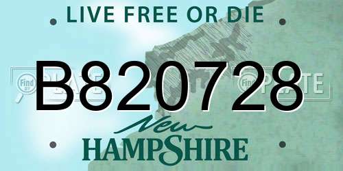B820728 New Hampshire License Plate