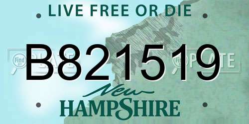 B821519 New Hampshire License Plate
