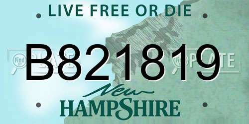 B821819 New Hampshire License Plate