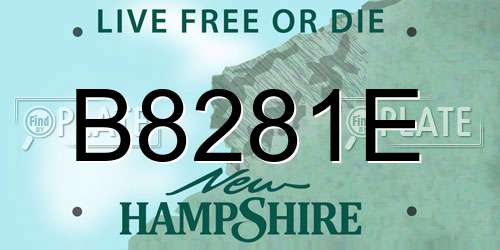 B8281E New Hampshire License Plate