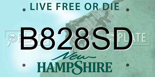 B828SD New Hampshire License Plate