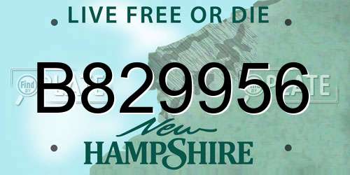 B829956 New Hampshire License Plate