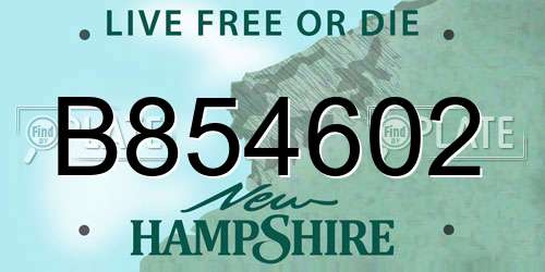 B854602 New Hampshire License Plate