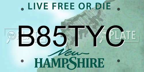B85TYC New Hampshire License Plate