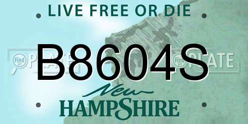 B8604S New Hampshire License Plate