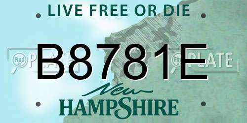 B8781E New Hampshire License Plate