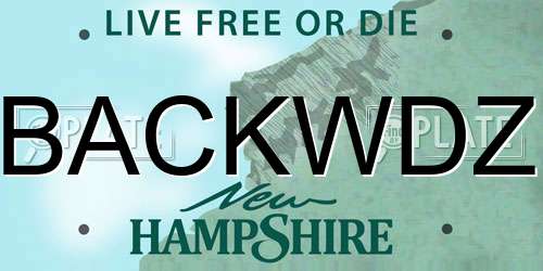 BACKWDZ New Hampshire License Plate