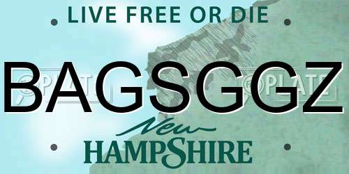 BAGSGGZ New Hampshire License Plate