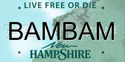 BAMBAM New Hampshire License Plate