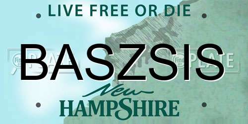 BASZSIS New Hampshire License Plate