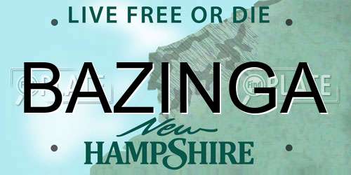 BAZINGA New Hampshire License Plate