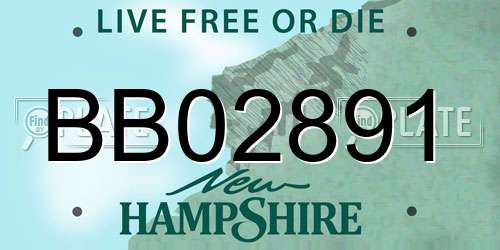 BB02891 New Hampshire License Plate