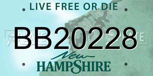 BB20228 New Hampshire License Plate