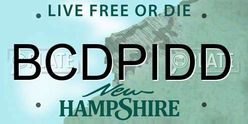 BCDPIDD New Hampshire License Plate