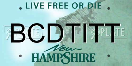 BCDTITT New Hampshire License Plate