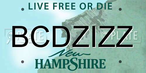 BCDZIZZ New Hampshire License Plate