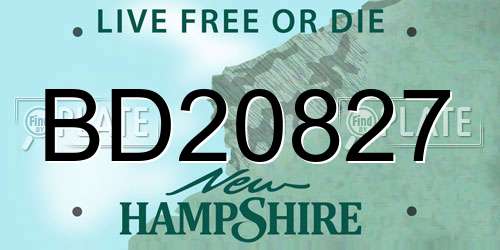 BD20827 New Hampshire License Plate