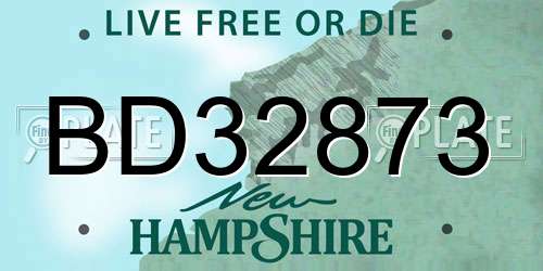 BD32873 New Hampshire License Plate