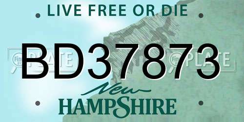 BD37873 New Hampshire License Plate