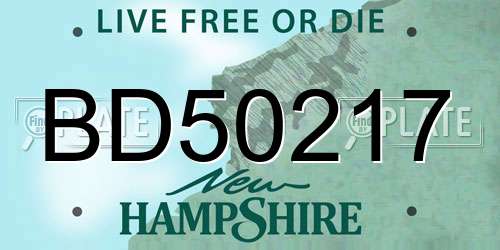 BD50217 New Hampshire License Plate