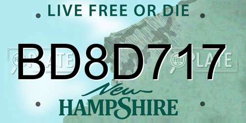 BD8D717 New Hampshire License Plate