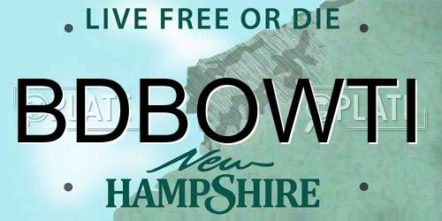 BDBOWTI New Hampshire License Plate