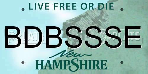 BDBSSSE New Hampshire License Plate