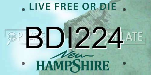 BDI224 New Hampshire License Plate