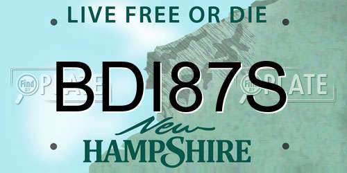 BDI87S New Hampshire License Plate