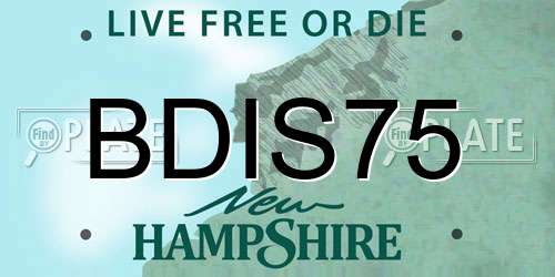 BDIS75 New Hampshire License Plate