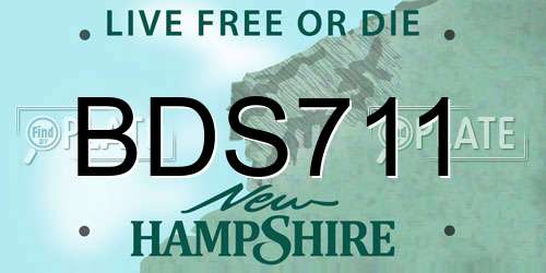 BDS711 New Hampshire License Plate