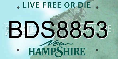 BDS8853 New Hampshire License Plate
