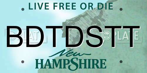 BDTDSTT New Hampshire License Plate