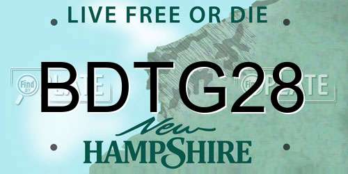 BDTG28 New Hampshire License Plate
