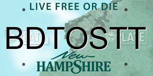 BDTOSTT New Hampshire License Plate