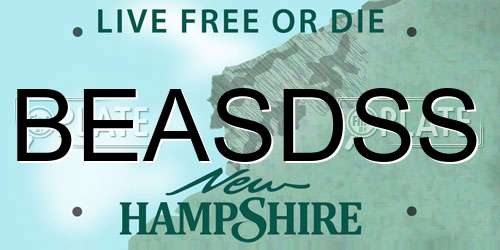 BEASDSS New Hampshire License Plate