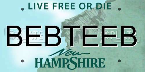 BEBTEEB New Hampshire License Plate
