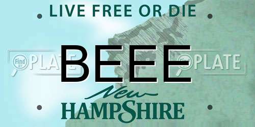 BEEE New Hampshire License Plate