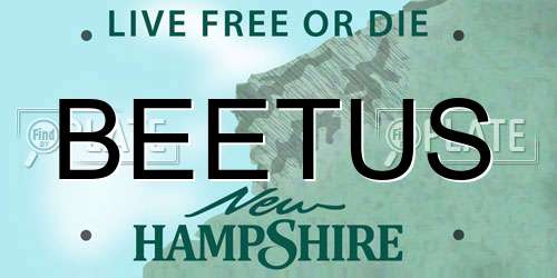 BEETUS New Hampshire License Plate