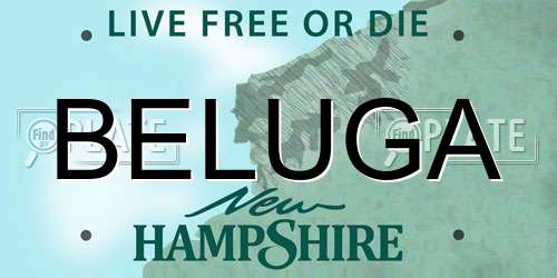 BELUGA New Hampshire License Plate