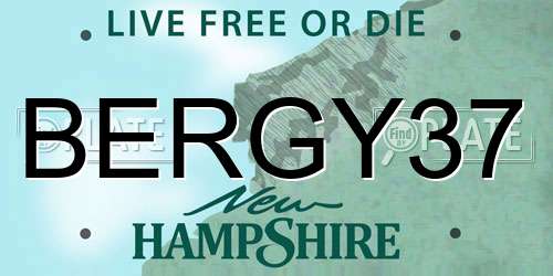 BERGY37 New Hampshire License Plate