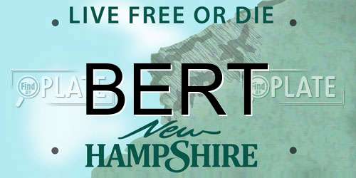 BERT New Hampshire License Plate