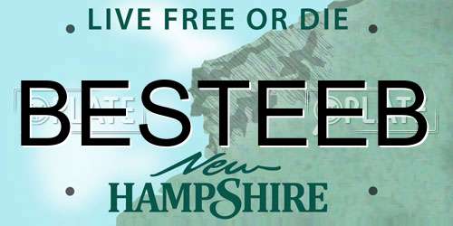 BESTEEB New Hampshire License Plate