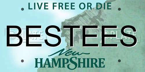 BESTEES New Hampshire License Plate