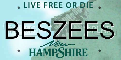 BESZEES New Hampshire License Plate