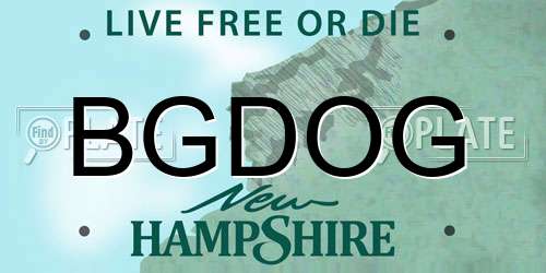 BGDOG New Hampshire License Plate
