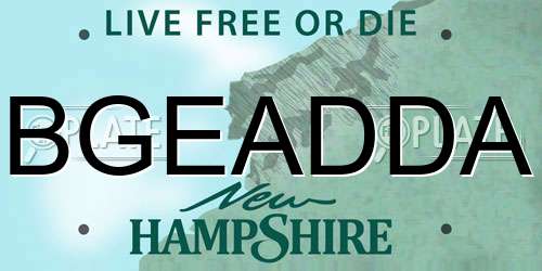 BGEADDA New Hampshire License Plate